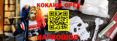 стаф Нальчик