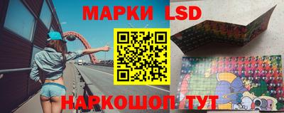 стаф Нальчик