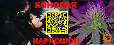 стаф Нальчик